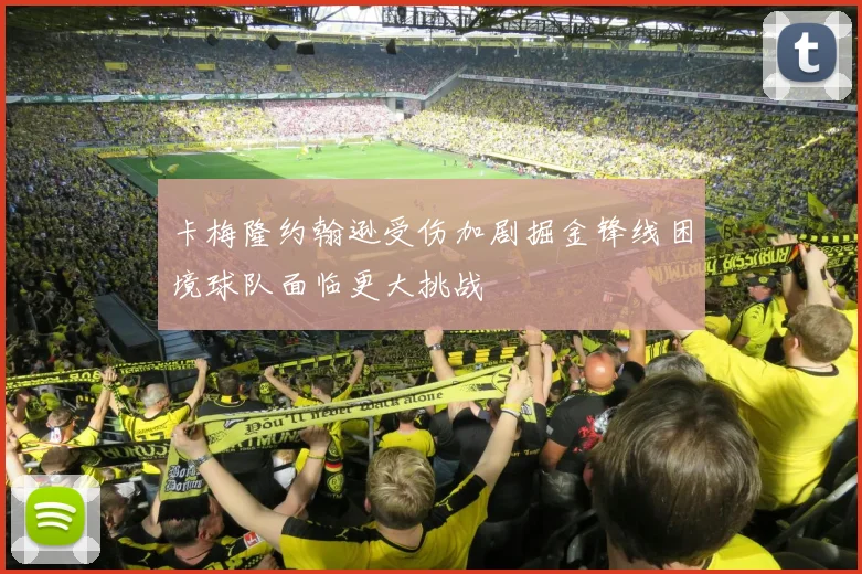 卡梅隆约翰逊受伤加剧掘金锋线困境球队面临更大挑战