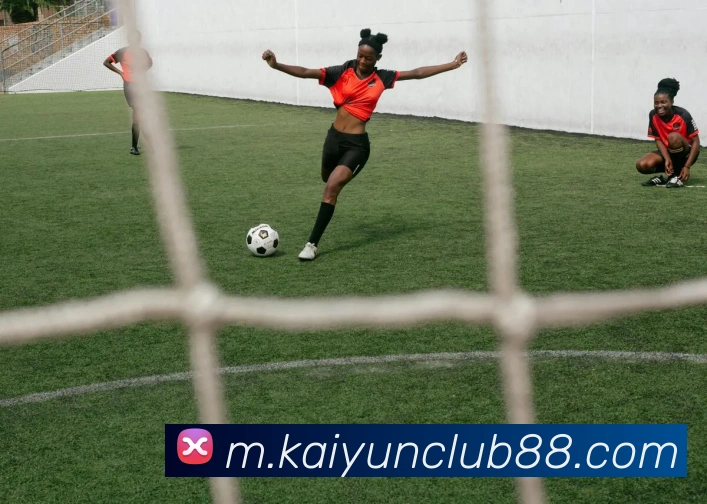 开云体育APP 封面图