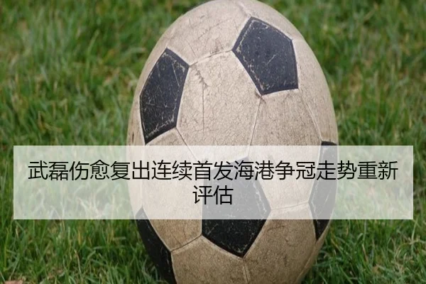 武磊伤愈复出连续首发海港争冠走势重新评估 | kaiyun