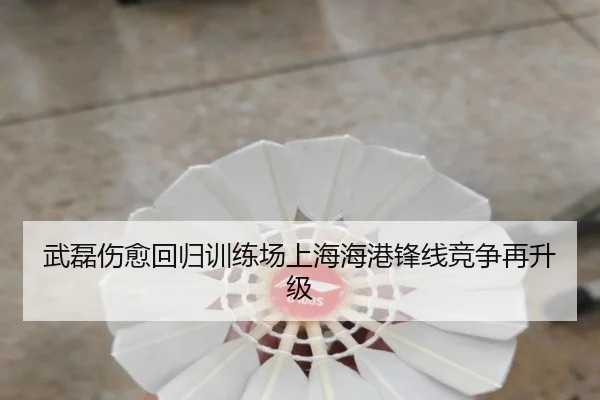 武磊伤愈回归训练场上海海港锋线竞争再升级 | kaiyun